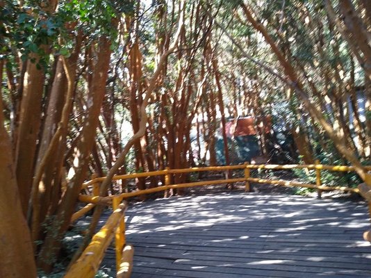 Cerro Viejo Bariloche: Toboggan Thrills & Family Eco-Adventures